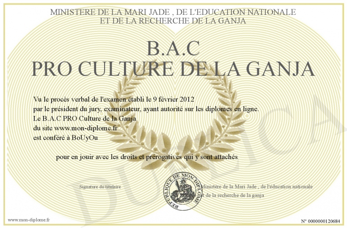 diplome bac+9
